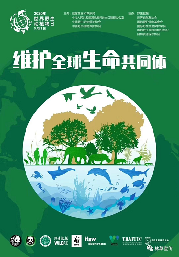 yl23455永利(中国)股份有限公司