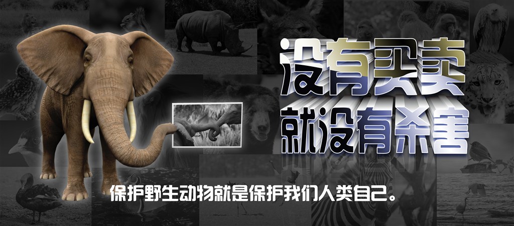 yl23455永利(中国)股份有限公司