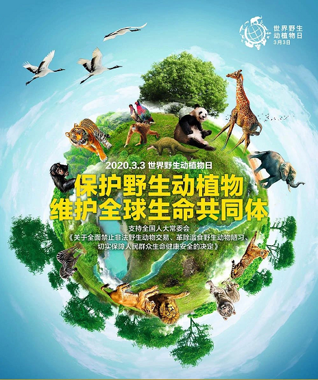 yl23455永利(中国)股份有限公司