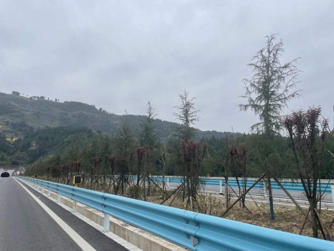 下层动态 - yl23455永利