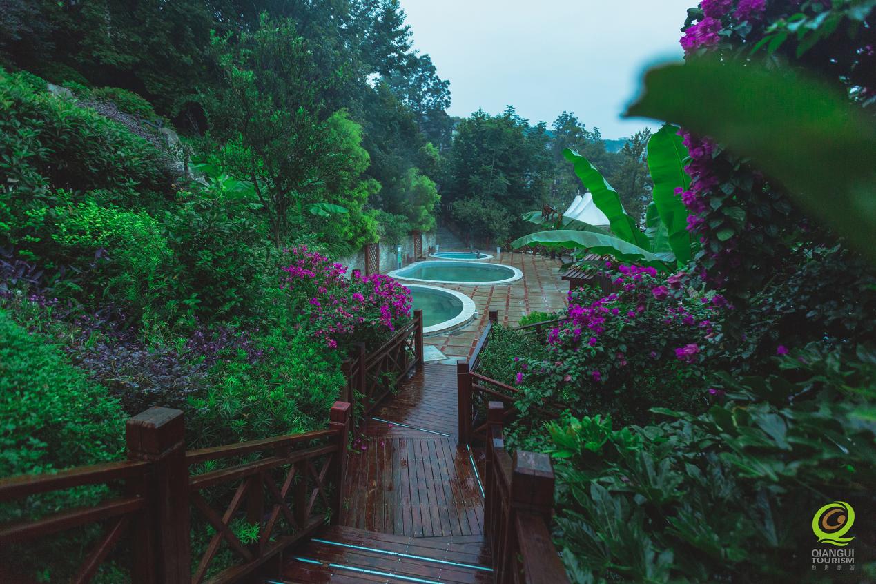 下层动态 - yl23455永利