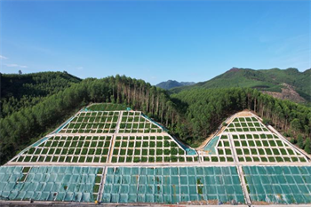 清静生产治本攻坚三年行动暨打非治违专项行动 - yl23455永利