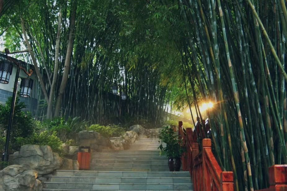 旅游开发 - yl23455永利