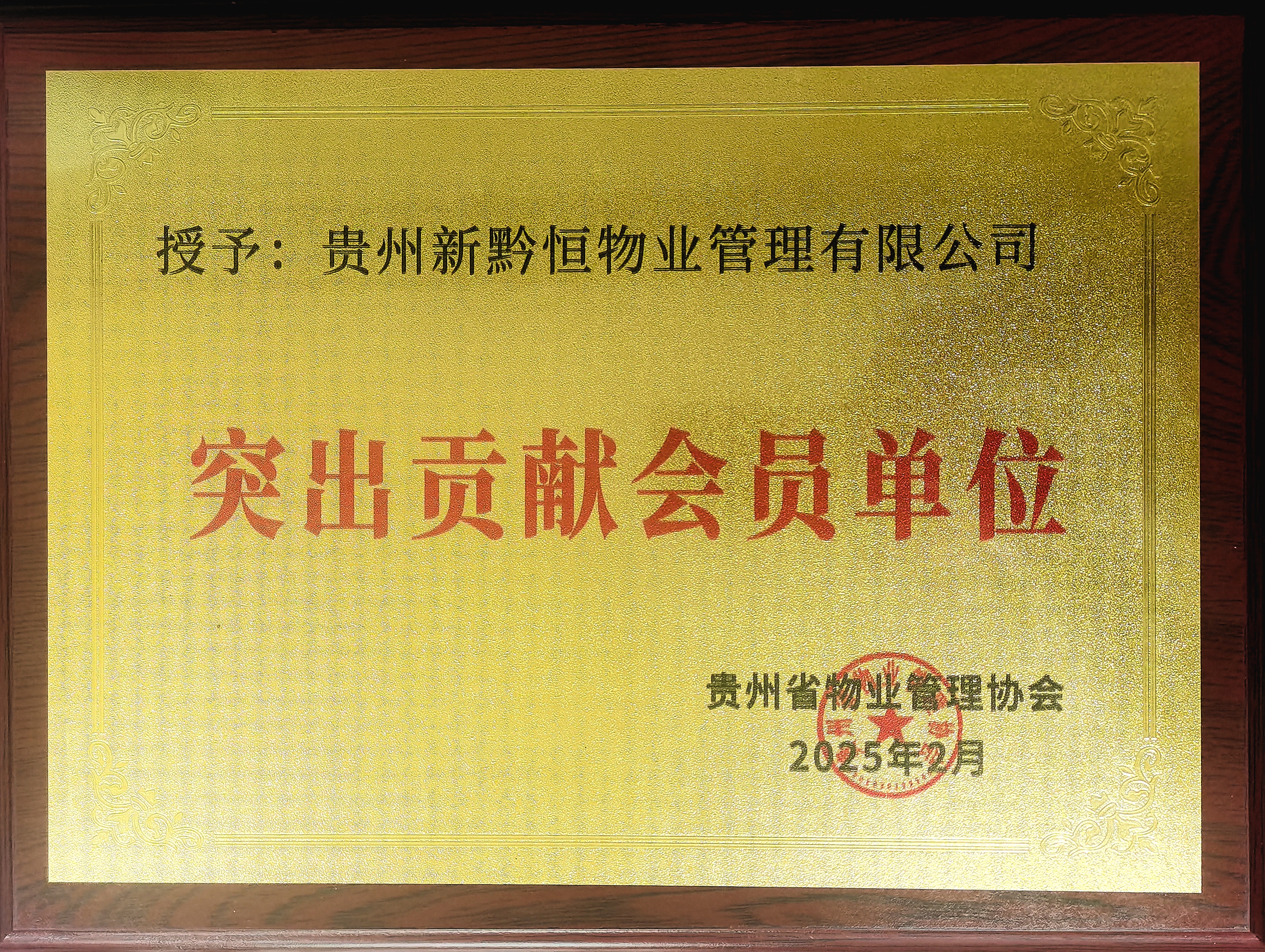 下层动态 - yl23455永利