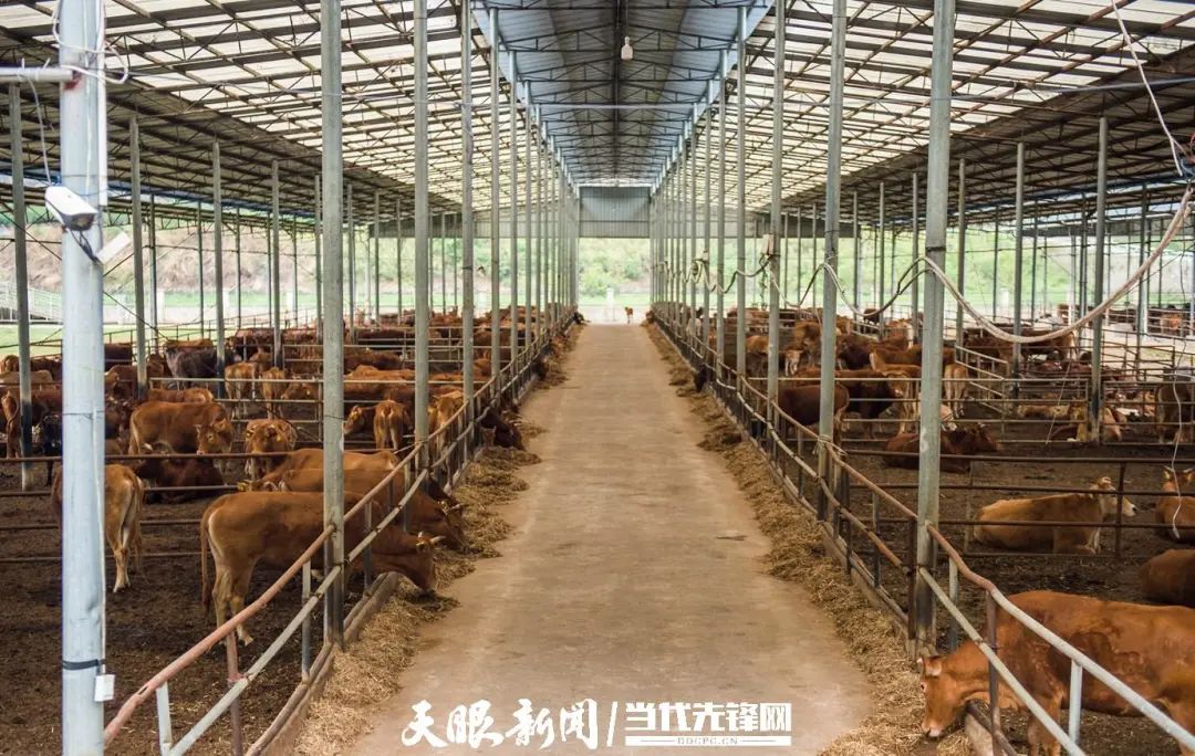 yl23455永利要闻 - yl23455永利